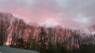 Sunrise 1-9-19 red sky