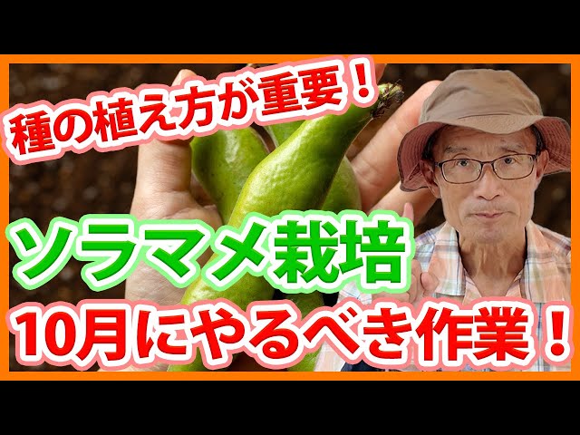 A thorough explanation of the work to be done in October for