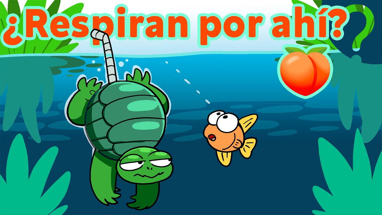 13 datos que no sabías sobre las tortugas 🐢