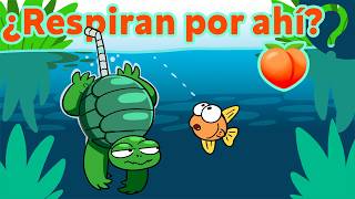Thumbnail image for 13 cosas que no sabías de las tortugas 🐢