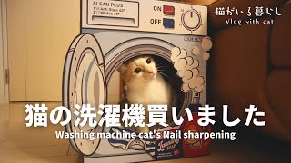 猫に洗濯機型の爪とぎを買ったら大歓喜してくれました / AWESOME STORE【猫がいる暮らし】