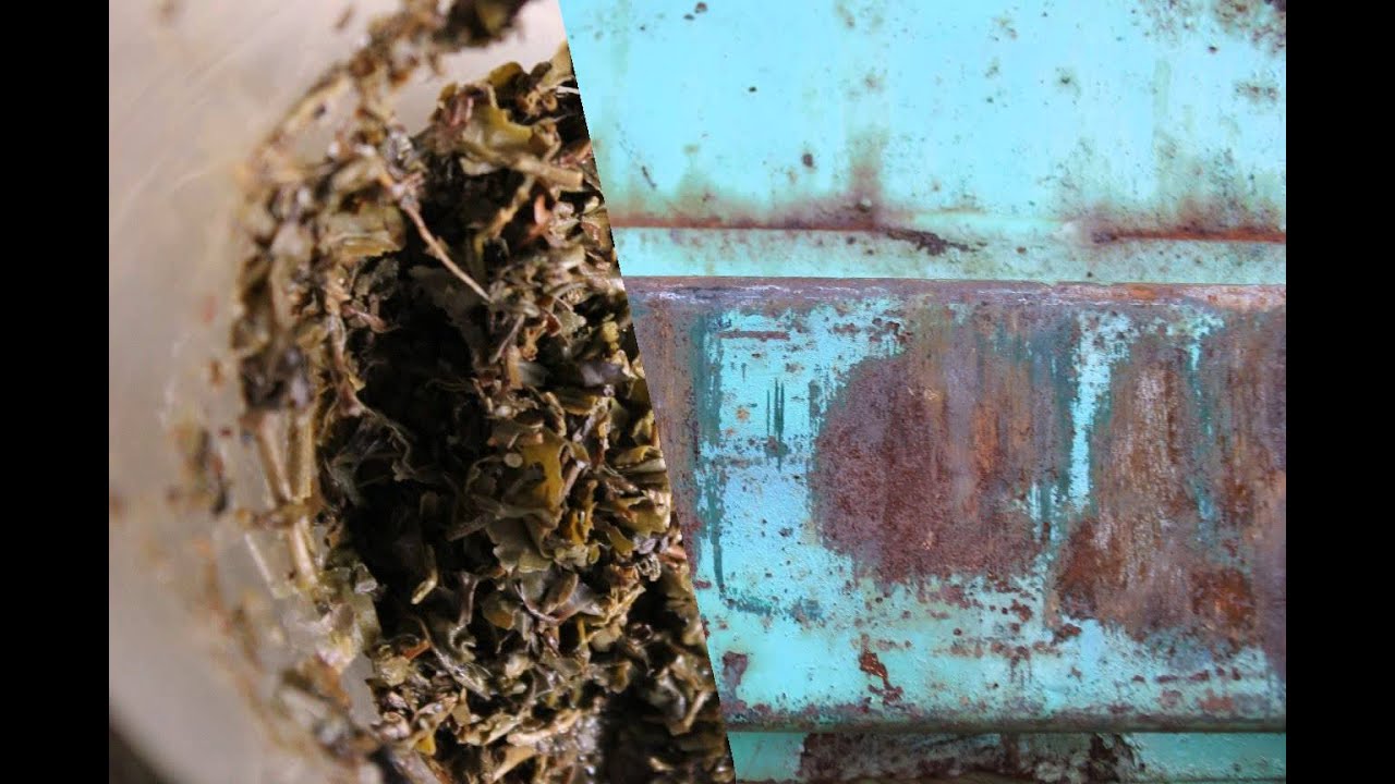 SkruntSkrunt & D.igital - Information Retrieval