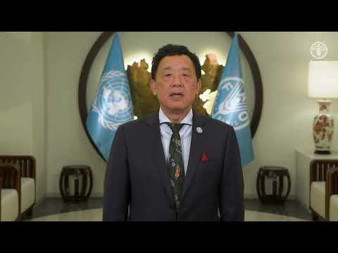 FAO Director-General video message to celebrate the 2025 International Day of Potato
