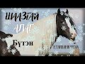 Тууж зохиолч Н.Тайванжаргал "Шаазгай алаг" Бүтэн // "Shaajgai alag" N.Taiwanjargal audiobook tuuj