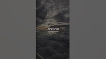 سورة النحل القارئ عبدالرحمن مسعد 🤎 #quran #عبدالرحمن_مسعد #قرآن #سورة_النحل