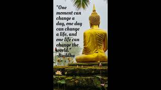 🌿 Wisdom of the Buddha | Timeless Quotes for Inner Peace 🧘 screenshot 3