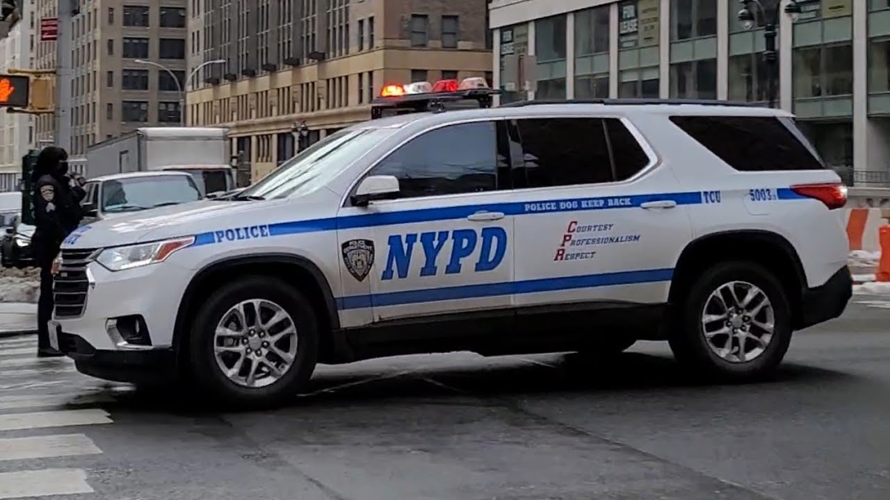 NYPD Transit Canine Unit Passing By On 34th Street In Midtown ...