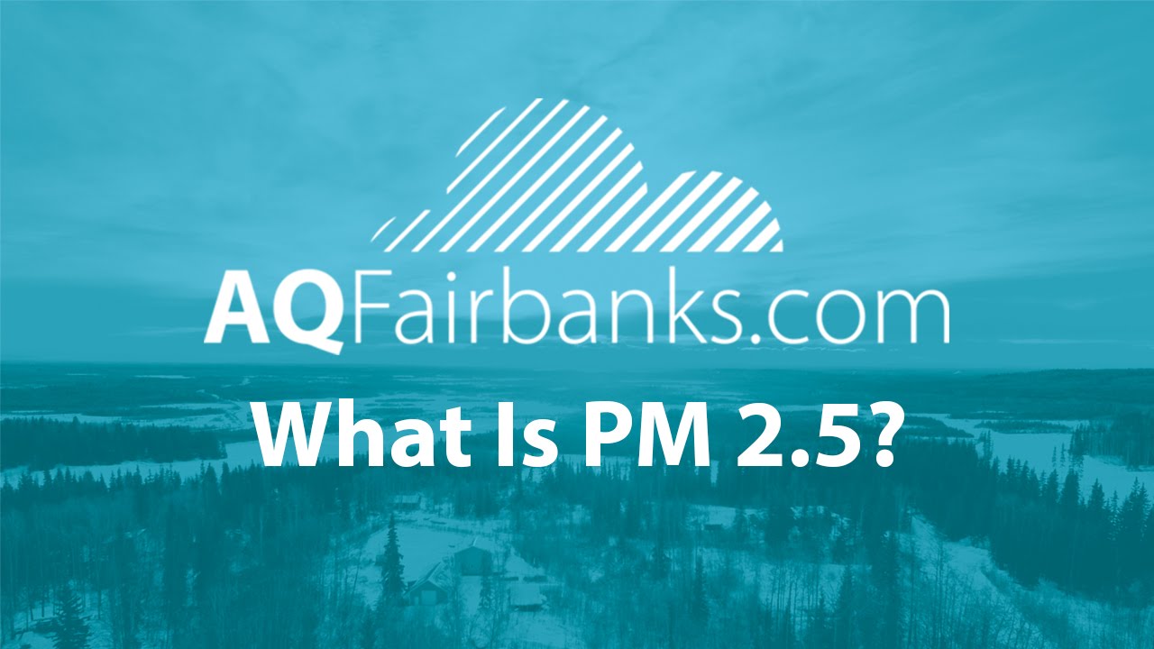 What Is PM 2 5?