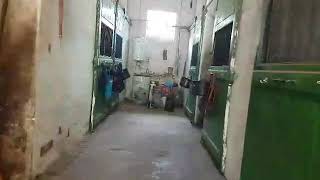 USER SCOPED TEMP DATA video transcode1588416271043 6662300719303119385