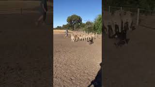 10000000 6240864319266705 3748095674571012365 n