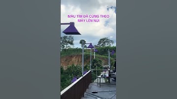 Cà phê VÂN NGUYỆT CÁC. Đồi mây Lộc Thành - BẢO LỘC - săn mây - Nguyễn An Nhơn