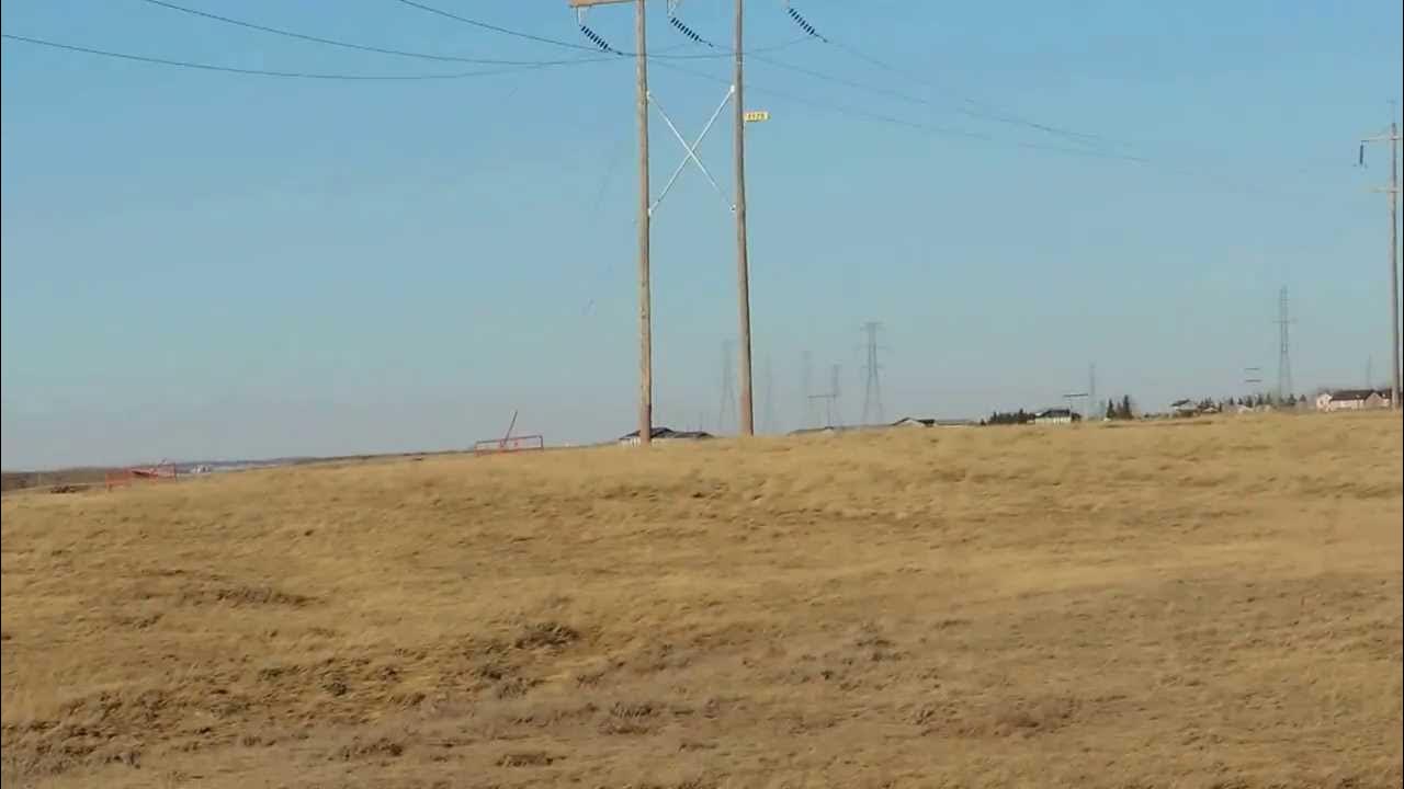 More Buzzing Transmission Lines YouTube