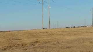 More Buzzing Transmission Lines Net Worth