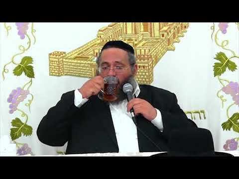 הרב החיד''א-שיעור מאשדוד- שבח ארץ ישראל-פרשת "שלח לך"-סיון תשע''ח