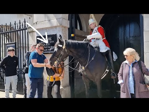 TOURIST BAG GOT STUCK in Horse's Mouth  The King's Guard smiled at Horse Guards in London