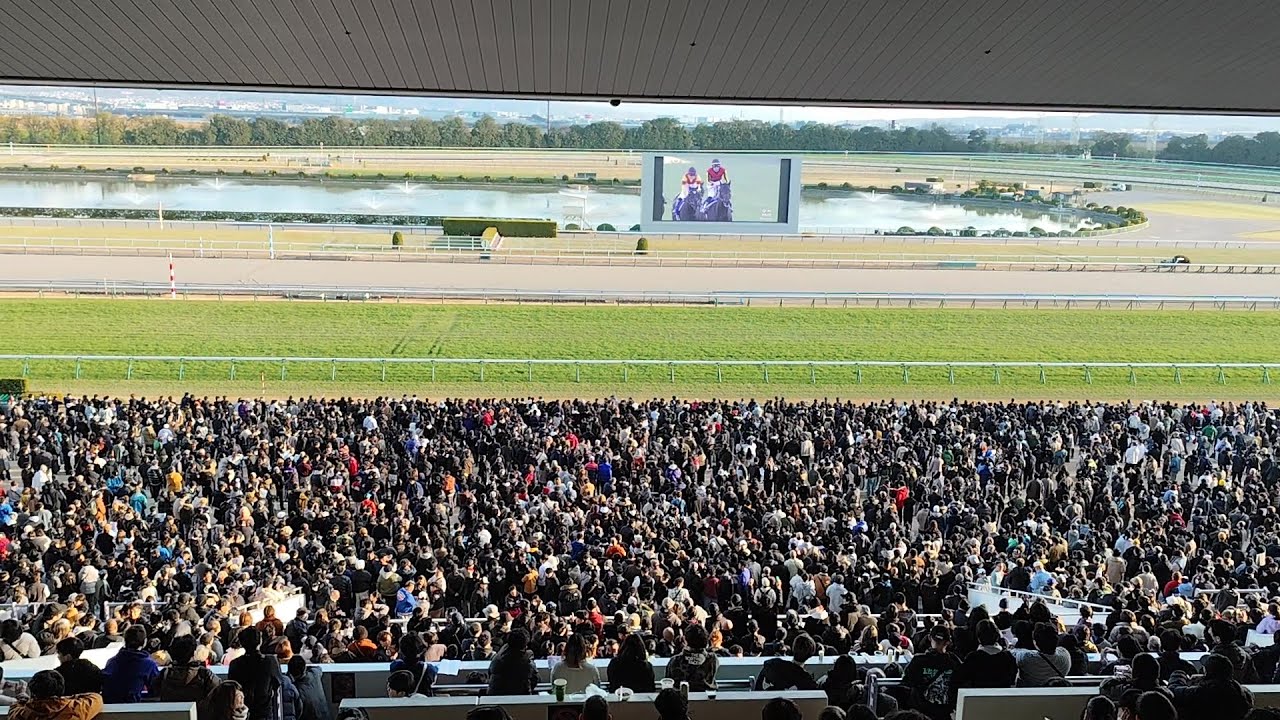 ２０２５年有馬記念、大歓声の京都競馬場パークウィンズ。