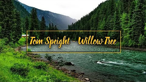 Tom Speight - Willow Tree (lyrics)
