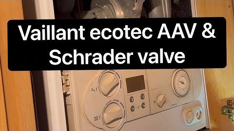 Vaillant ecotec AAV & Schrader valve replacement