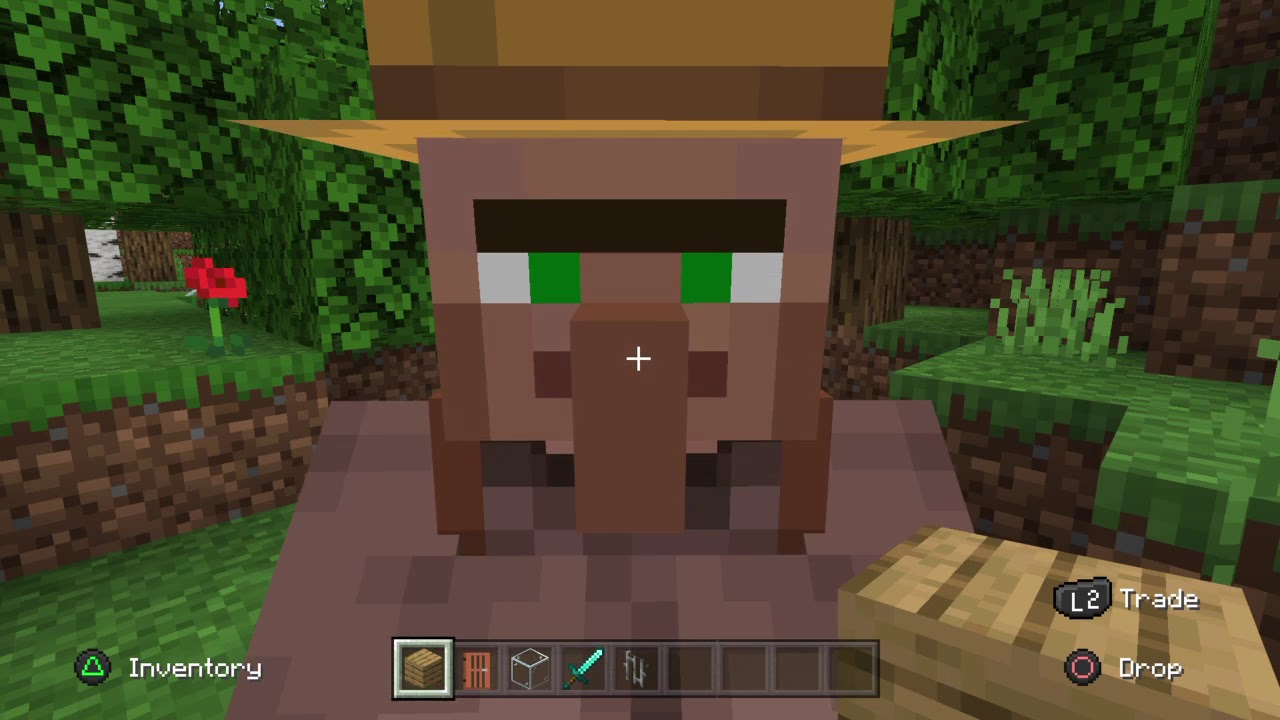 Spawning a lot of Villagers and makeing a giant house for villagers