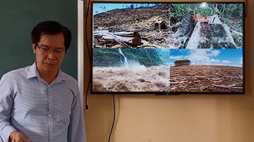 Công nghệ 7- Chủ đề- Kĩ thuật gieo trồng và chăm sóc cây rừng