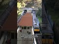 Opening of Woollahra's ‘ghost station’ in Sydney's eastern suburbs on the cards