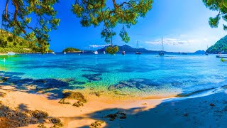 Summer Vibes 4K ☀️🍓 Mallorca 🏝️🌴 Travel the world 🌍