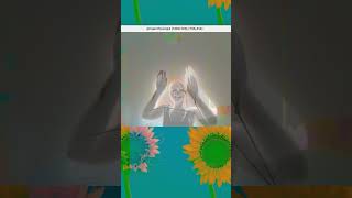 interactive flower visuals in touchdesigner for summer 🌻