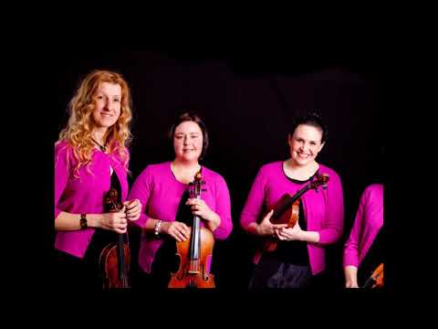 Arco String Quartet - Stand By Me