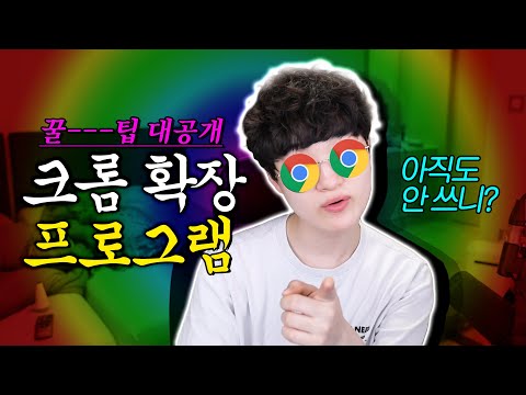 내가 10년동안 쓰고 있는 크롬 <strong>확장프로그램</strong>