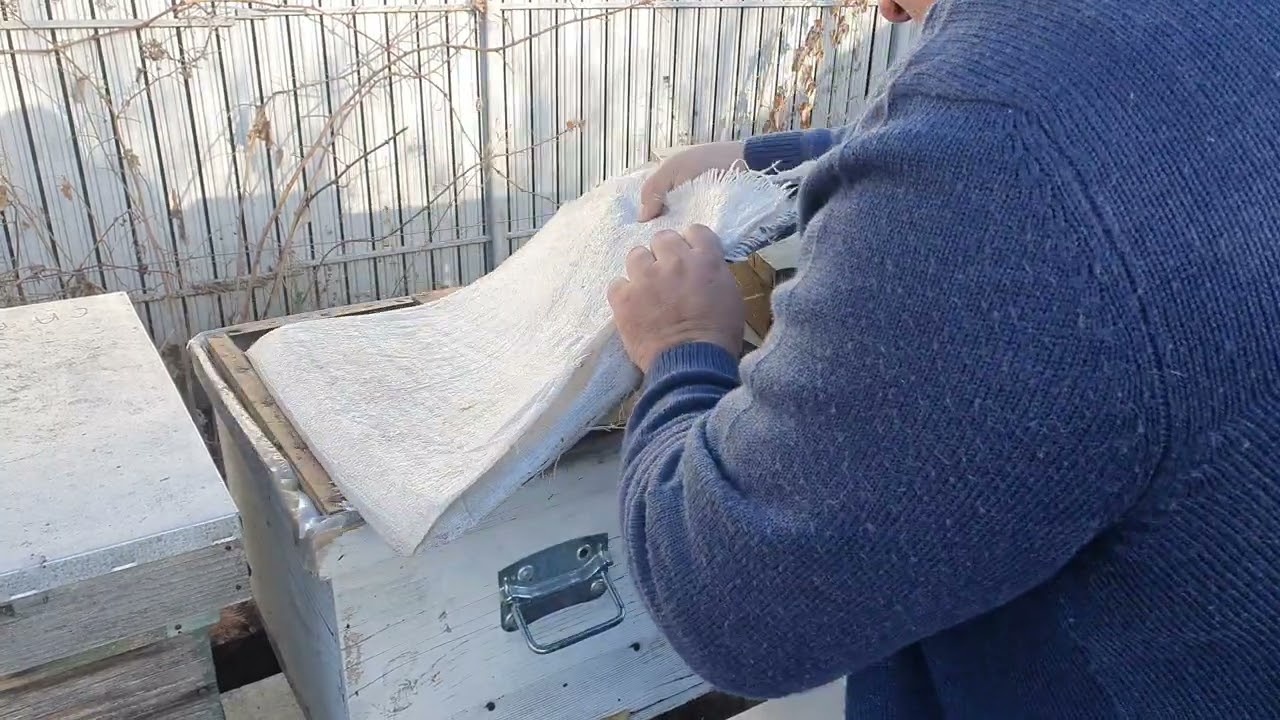 Azi am hrănit coloniile de albine din stupina urbană cu sirop megaboost producție proprie.