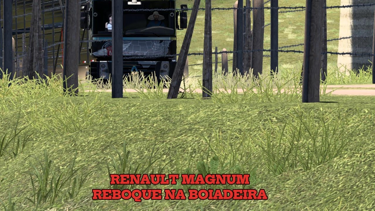 ets2 NENAILT MAGNUM  NA BOIADEIRA