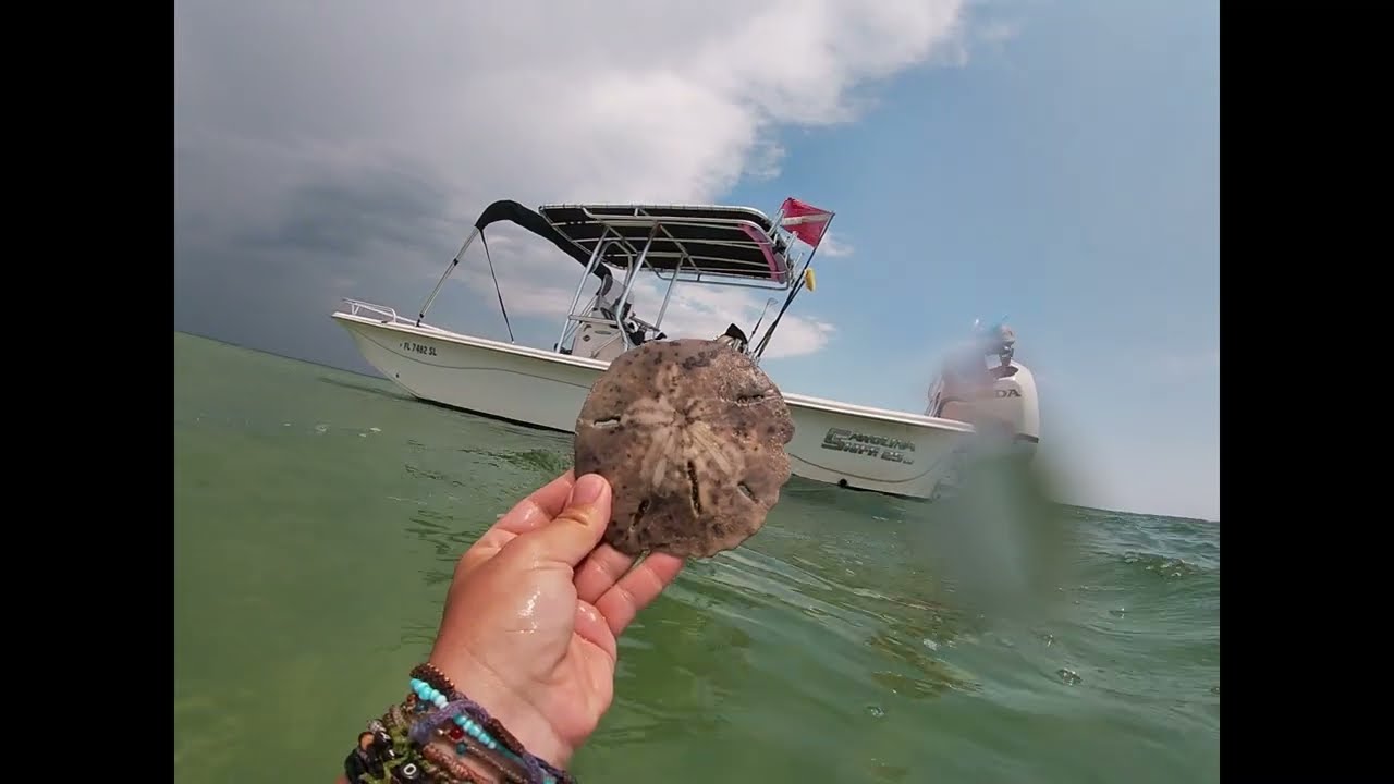Snorkeling in Port St. Joe, Florida.