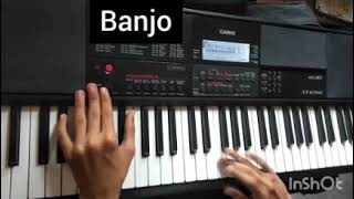 ( part 1) Casio CTX 700 modifyed indian voice (tone)to copy real instrument
