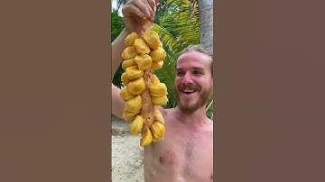 Thumbnail of This is the sweetest fruit on earth!