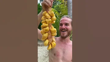 This Is The Sweetest Fruit On Earth 