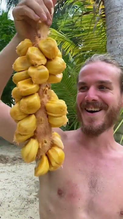 This is the sweetest fruit on earth!