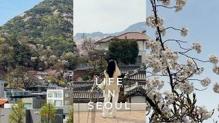 Seoul Vlog - Spring Bukchon Walk | Where to Drink, Eat & Shop in Anguk & Samcheong | Cherry Blossoms screenshot 2