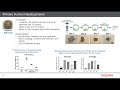 Introduction to 3D Biology: Organoids, Spheroids and Applications Relative to 2D Culture