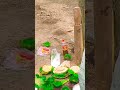 जल जंगल जमीन धड़कन हमारी#cg #love #trendingsong #viralshort #video #popularsong #cgsong #cg