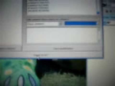 how to use orcania code manager for wii