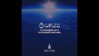 كلا بل تحبون الْعَاجِلَةَ وتذرون الآخرة 🌷 القاريء طارق محمد حالات واتس اب دينية قصيرة مؤثرة قرآن