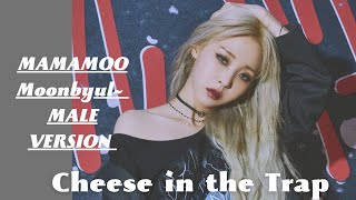 MAMAMOO Moon Byul  ~C.I.T.T Cheese in the Trap (Male Version)