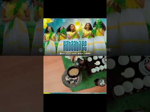 Elsa Nuguse Hababilee New Oromo Music 2025