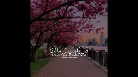 قرآن كريم بصوت هزاع البلوشي تلاوة هادئة ارح قلبك ♡ حالات واتس اب / ستوريات قرآن || Quran status