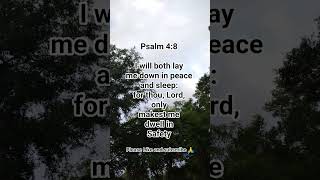 Psalm 4:8/ Sleep in Peace