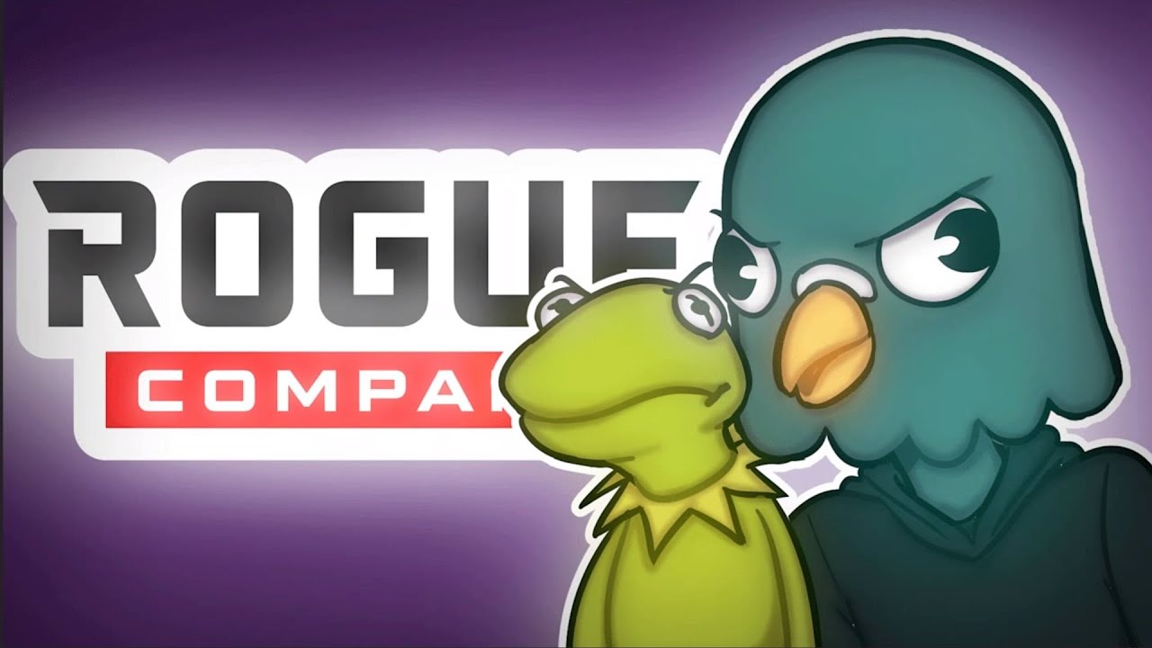 Funny Rogue Company moments that remind you of Hacking!?