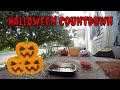 Live Halloween Ambience  Cam Day 25! 🎃