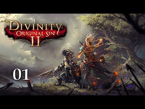 Divinity Original Sin 2 (en CASTELLANO) ep1 - PRIMERAS IMPRESIONES (Gameplay Español)