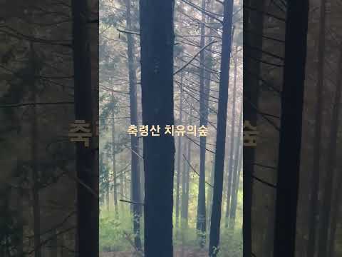 축령산 치유숲 걷기