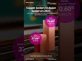 Copper Juniors Are Crushing Majors — 70% Rally Ignites 2025 Mining Boom